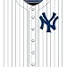 New York Yankees MLB Book Cover