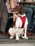 スマートハーネスM レッド 犬 キャリーバッグ