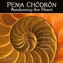Pema Chodron 2010 Wall Calendar: Awakening the Heart
