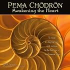 Pema Chodron 2010 Wall Calendar: Awakening the Heart by Pema Chodron and Frans Lanting