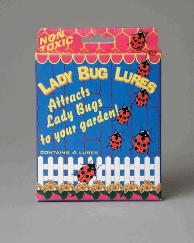 Childrens Toyshop  Tools & Hardware : Spring Star Lady Bug Lure