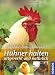 H�hner halten artgerecht und n