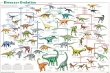 (24x36) Laminated Dinosaur Evolution Educational Science Chart Poster