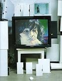 Bjork - Live Performances Later