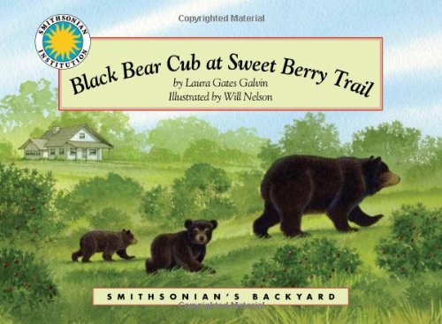 Black Bear Cub at Sweet Berry Trail - a Smithsonian's Backyard Book