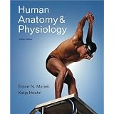Human Anatomy & Physiology (text only) 8th (Eighth) edition by E.N. Marieb,K. N Hoehn