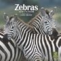 Zebras 2010 Square Wall (Multilingual Edition)