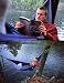 Eagles Nest Outfitters Single Nest Hammock Camping Recreation ENO- Khaki/Black; Navy/...