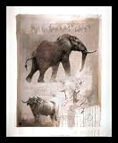 Elephant (And Water Buffalo) Black Wood-Mounted Art Poster Print - 16