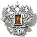 Jewelry : Certified Genuine Honey Amber and Sterling Silver Double Head Eagle Pin