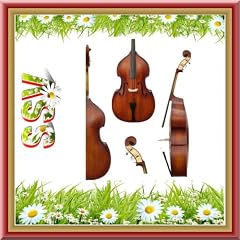 *Sommer Special* Kontrabass f. Kinder 1/8 1/4 1/2 inkl. Zubeh�r (1/2)