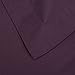 Amazon Brand – Pinzon Signature Cotton Heavyweight Velvet Flannel Duvet Set - Full or Queen, Aubergine