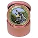 Limited Edition Violano Jewelry Case Travel Alarm Clock Baby Donkey
