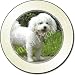 BICHON FRISE DOG Standing Tax Disc Holder