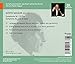Mahler: Symphony No. 1