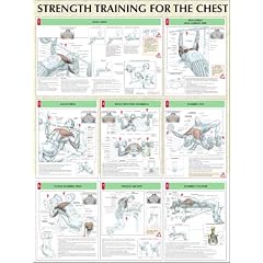 Chest Poster