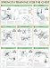 Strength Training Anatomy: Strength Training for the Chest Poster by Frederic Delavier ISBN 0736059350