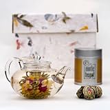 Flowering Tea Discovery Gift Set with Glass Teapot