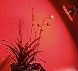 EagleLight Hydroponic Red Budding Grow Light - PAR38 LED