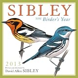Sibley: The Birder's Year 2013 Wall (calendar)