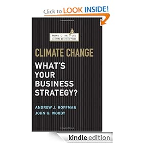Climate Change: What's Your Business Strategy? (Memo to the CEO)