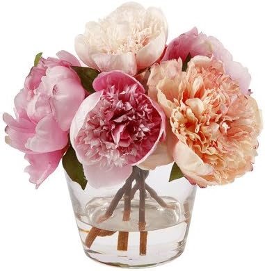 Peony in Glass Vase