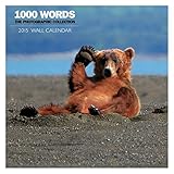 Cover for 9781782936428