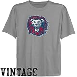 NCAA Loyola Marymount Lions Youth Ash Distressed Logo Vintage T-shirt