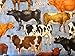 Bountiful Cows All Types On Blue Background 1649-25978-B