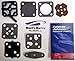Johnson Evinrude OMC New OEM Fuel Pump Set, 0393088