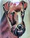 Russian Nesting Doll Dog Airedale Terrier English English Cocker Spaniel Basset Hound Bulldog Schnauzer 5 Pc / 7 #dg02