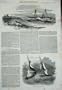1851 Ship Steam Vessel Flamer Monrovia Wreck Sea Reef