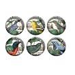 Fringe Studio Set of 6 Decorative Glass Round Magnets, Summer