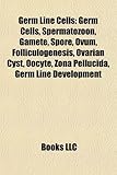 Germ Line Cells: Germ Cells, Spermatozoon, Gamete, Spore, Ovum, Folliculogenesis, Ovarian Cyst, Oocyte, Zona Pellucida, Germ Line Devel-
