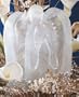 Reusable Angel Ice Sculpture Mold