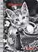 2011 Kittens Pocket Engagement Calendar