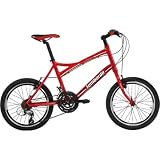 Lombardo Power 2000 20 Adult Comfort Bike