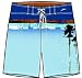 Search : Sunset Boardshort