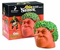 Chia Shrek Handmade Decorative Planter, 1 Kit