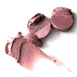 full-finish lipstick - passionista
