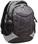 SwissGear Computer Backpack (Dark Gray/Light Gray)