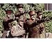 Black Adder by Unknown. Size 10.00 inches width by 6.66 inches height. High Quality Art Poster Print