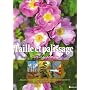 Taille et palissage de David Joyce