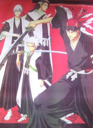 Childrens Toyshop  Toys : Bleach Wall Scroll Poster: Group of 4 + Pin