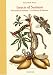 Maria Sibylla Merian: Insects of Surinam