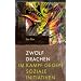 Zw�lf Drachen im Kampf mit sozialen Initiativen