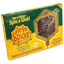 Insect Lore Garden Spider Web Frame