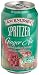 R.W. Knudsen Spritzer Ginger Ale, 12-Ounce Cans (Pack of 24)