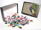 Photo Jigsaw Puzzle of -23 from Flpa