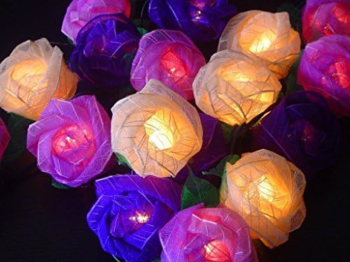 Thai Fairy Lights Purple Mixed Colour Rose Fairy Light String.